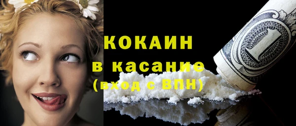 бошки Бронницы