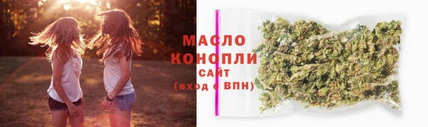 бошки Бронницы