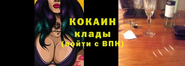 бошки Бронницы