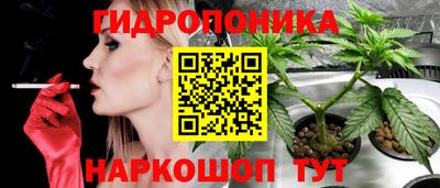 мдпв Ливны