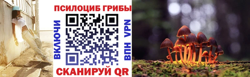 Псилоцибиновые грибы мицелий  Зима 