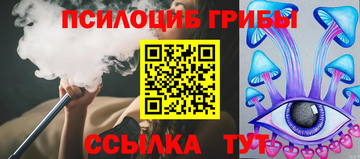 Псилоцибиновые грибы Magic Shrooms Зима