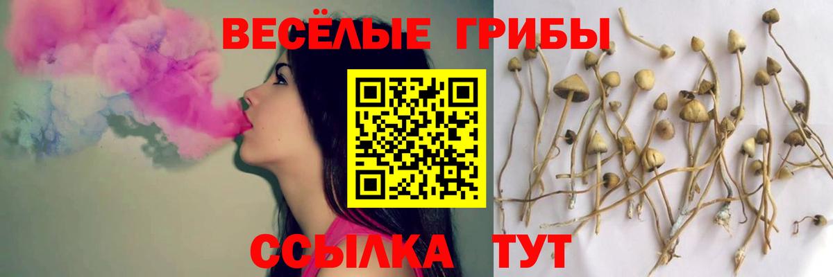 Галлюциногенные грибы Psilocybine cubensis  Галлюциногенные грибы Magic Shrooms  купить   Зима  Вход с VPN 